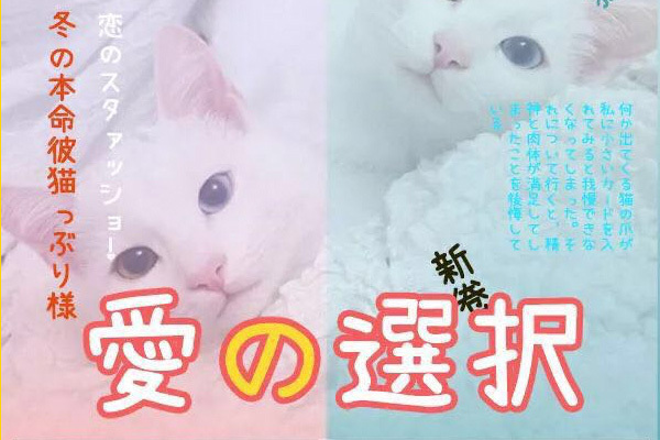 免费字体_免费商用字体开发_优设系列字体