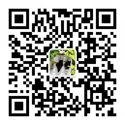 装机必备软件下载_装机必备软件_Cloudbox软件介绍