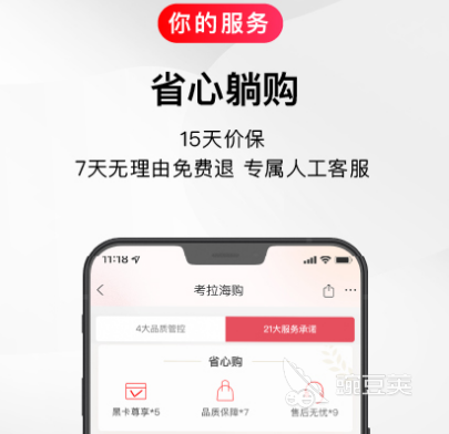 正版软件代购_正规代购平台排行_海外代购app推荐
