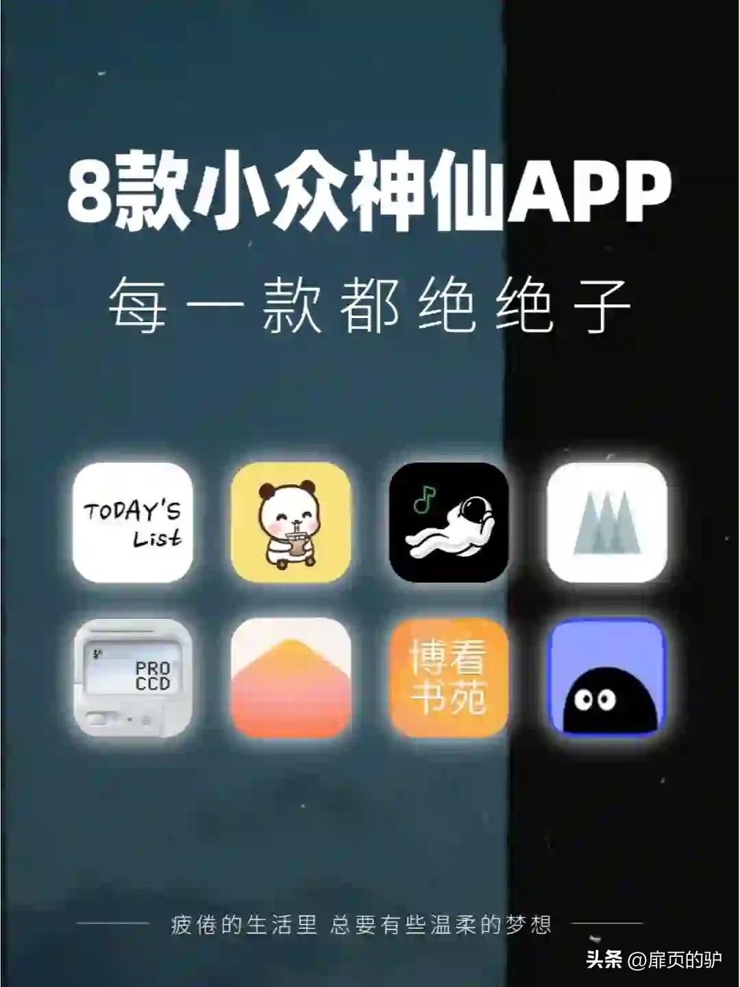 小众软件评测_小众APP阅读体验_英语学习伴侣APP