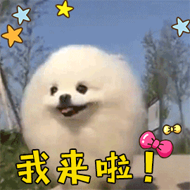 扫描全能王学习助手_坚果云高效学习软件_大学生学习工具