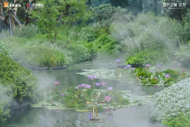 名校教育本质_教育教学_家长教育焦虑破解