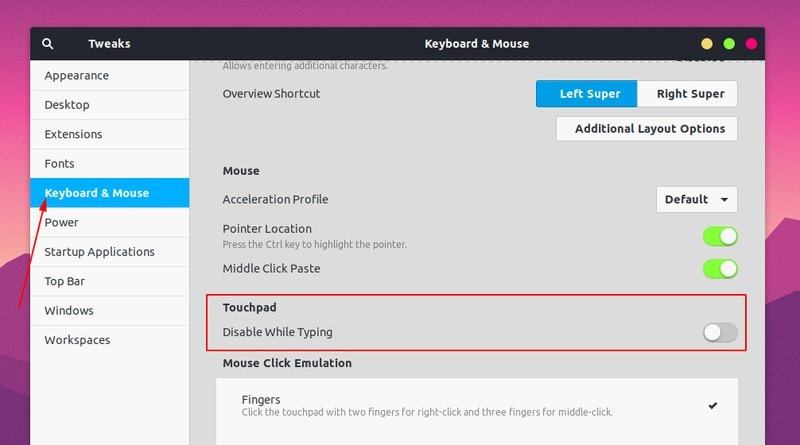 系统优化软件_Ubuntu GNOME 优化工具_GNOME Tweaks 主题设置