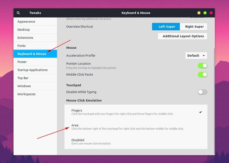 系统优化软件_GNOME Tweaks 主题设置_Ubuntu GNOME 优化工具