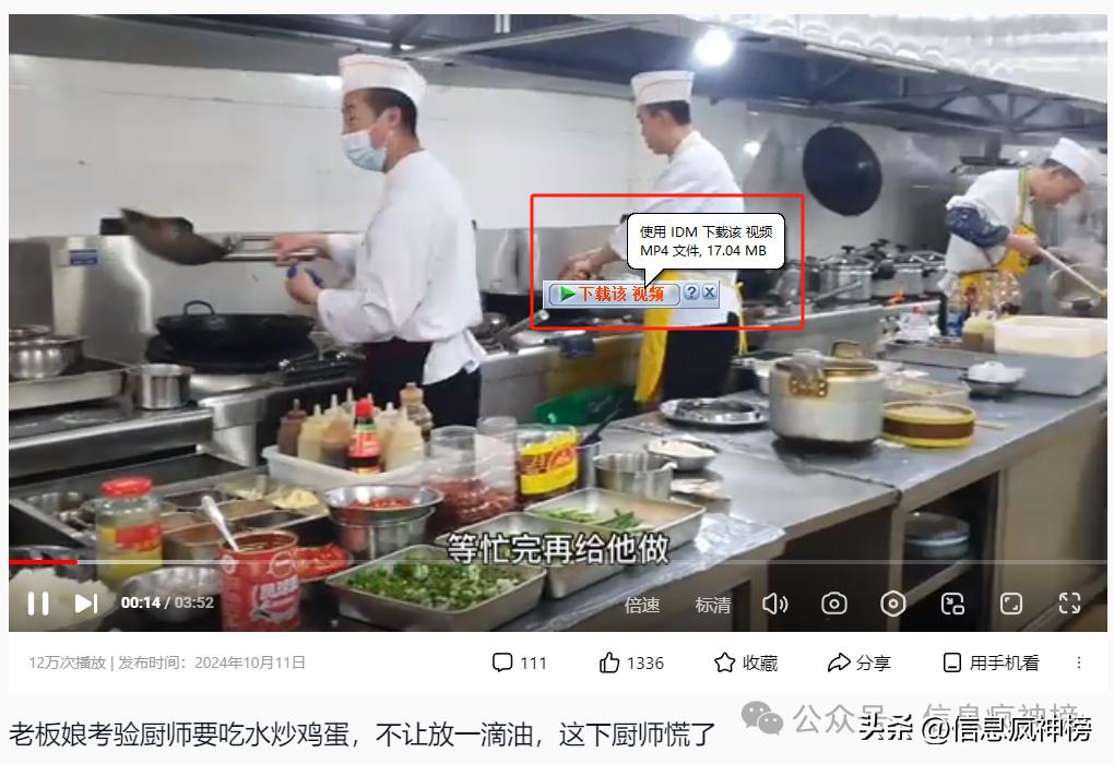 猫抓插件Edge浏览器使用_IDM下载器插件安装使用_专业插件代下载