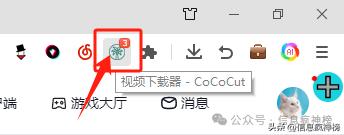 IDM下载器插件安装使用_专业插件代下载_猫抓插件Edge浏览器使用