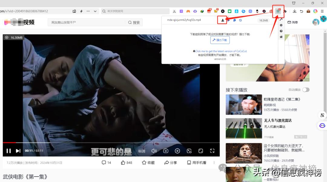 专业插件代下载_IDM下载器插件安装使用_猫抓插件Edge浏览器使用