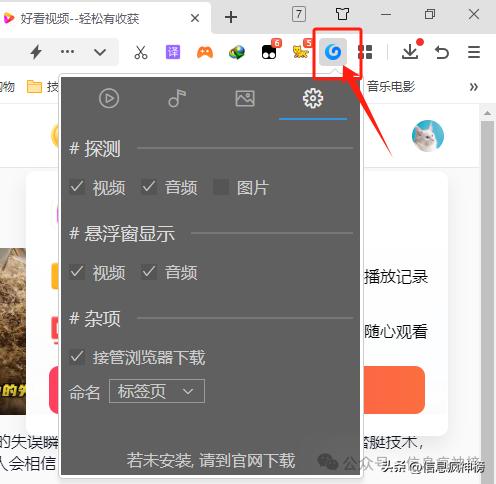IDM下载器插件安装使用_猫抓插件Edge浏览器使用_专业插件代下载