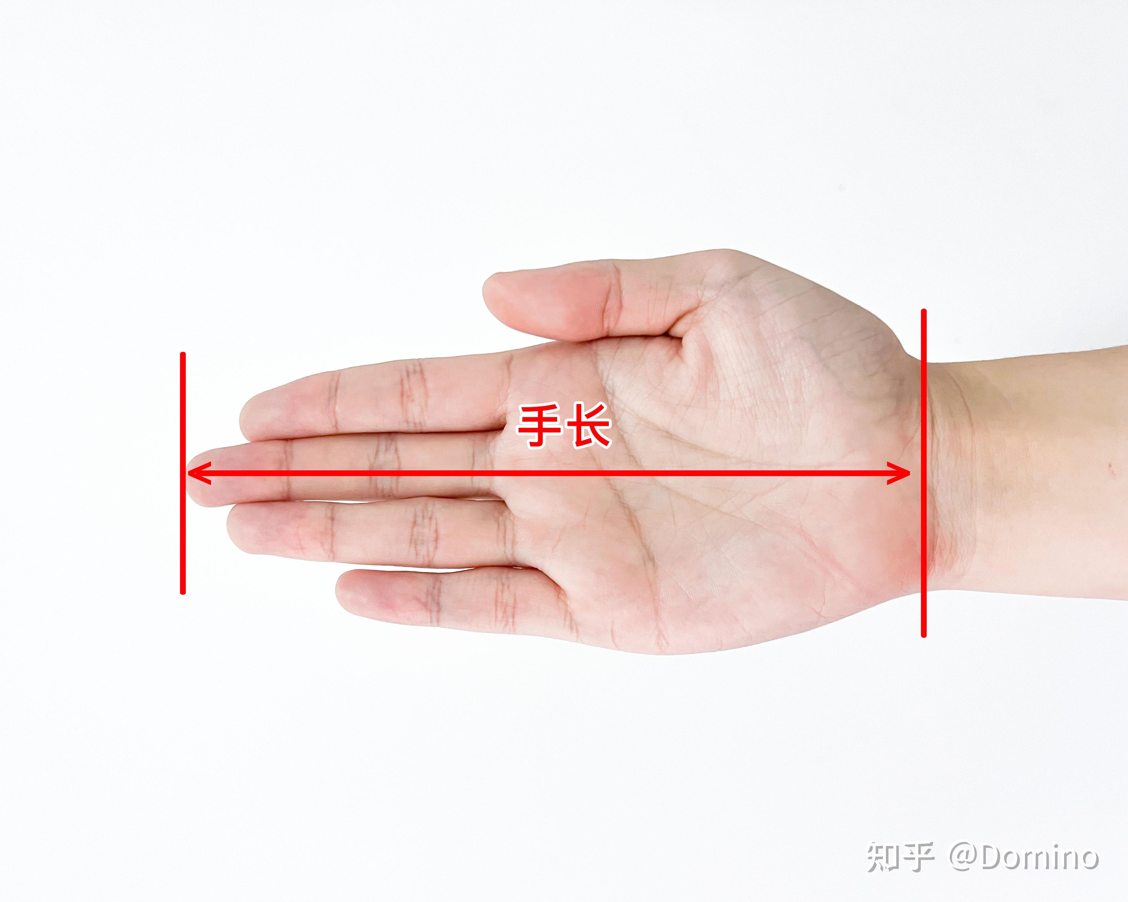 办公效率神器_ 性价比鼠标推荐 _鼠标选购指南 
