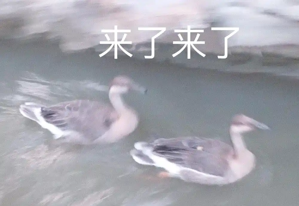 大学生学习工具_英语学习APP墨墨背单词_大学生学习APP推荐