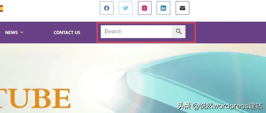 WordPress 教程_WordPress Function.Php 代码添加_WordPress 自带搜索框样式修改