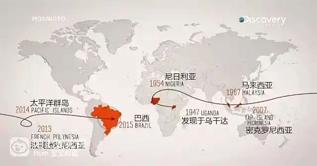 防病毒推荐榜_虫媒病毒传播_蚊子灭虫方法