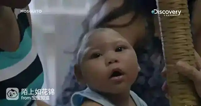 虫媒病毒传播_蚊子灭虫方法_防病毒推荐榜