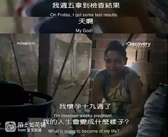 虫媒病毒传播_蚊子灭虫方法_防病毒推荐榜