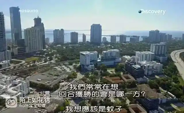 蚊子灭虫方法_虫媒病毒传播_防病毒推荐榜
