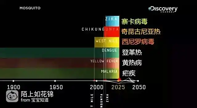 蚊子灭虫方法_虫媒病毒传播_防病毒推荐榜