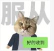 办公效率神器_AI政务PPT制作工具 _ 体制内公文写作AI工具 
