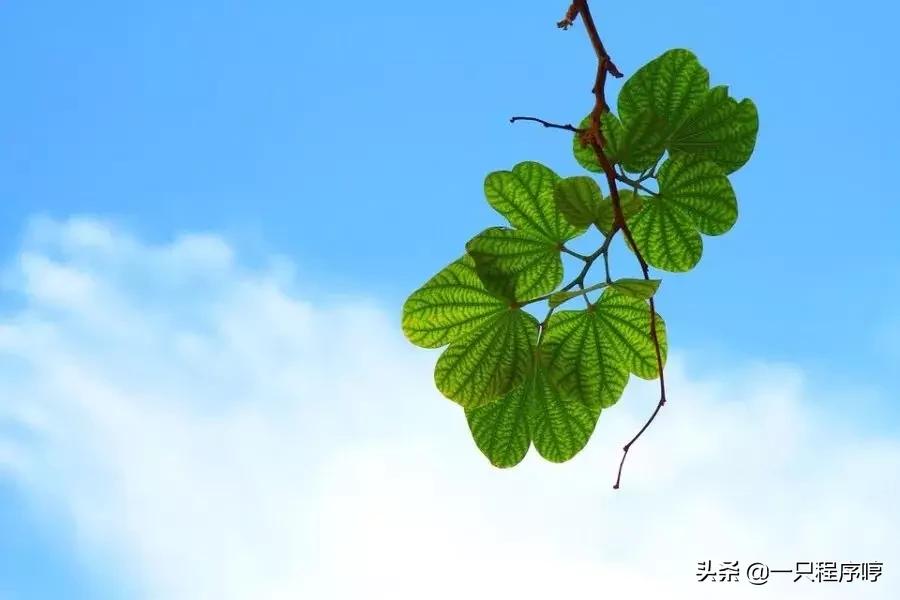 游戏辅助工具_游戏内存修改教程 _ 游戏数据修改器制作 