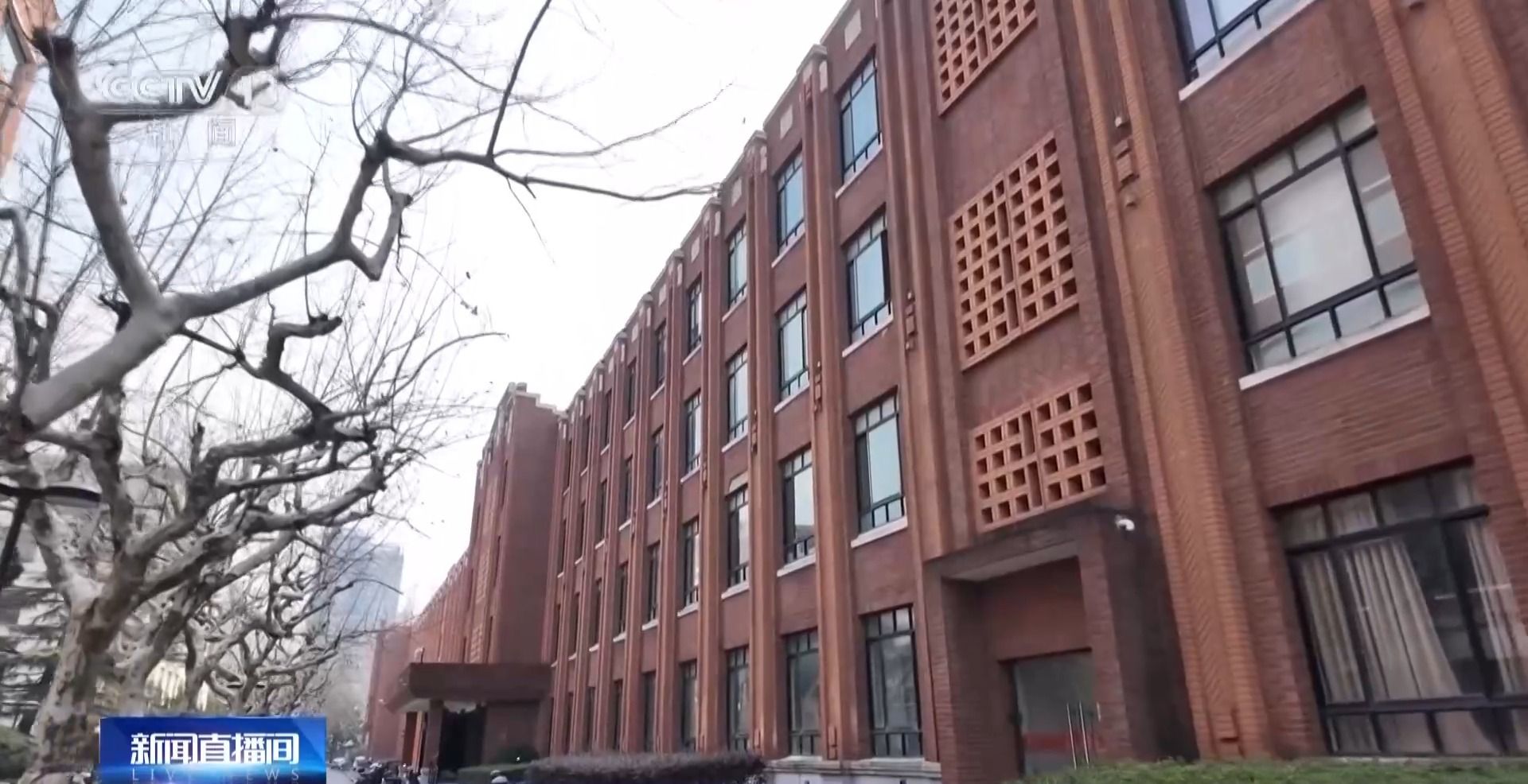 DeepSeek AI工具论文写作依赖_大学生AI工具滥用_大学生学习工具