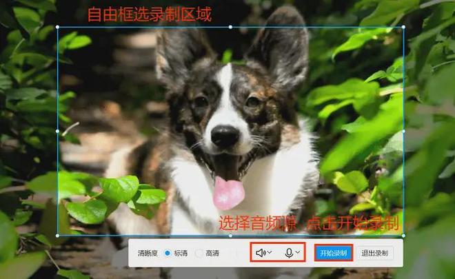 直播间录制软件操作步骤_录屏软件多种格式导出_视频剪辑工具