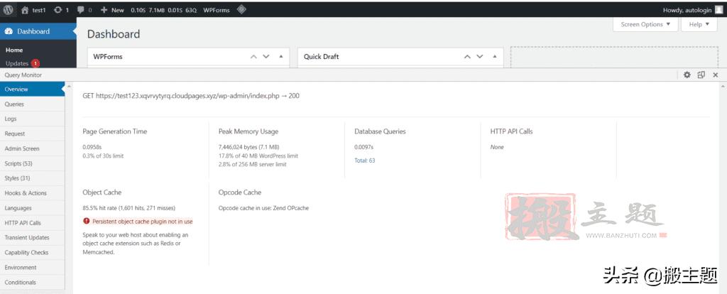WordPress 教程_WordPress查询优化_Query Monitor插件使用教程