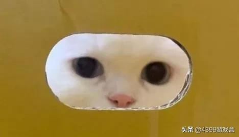 物理外挂_游戏辅助工具_游戏辅助神器