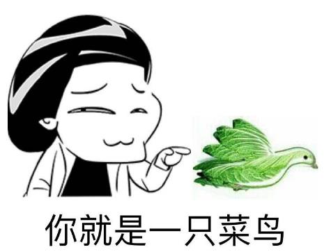 小白网络含义解释_小白也能用的软件_网络用语小白意思