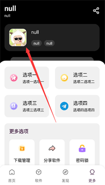 懒洋羊软件库
