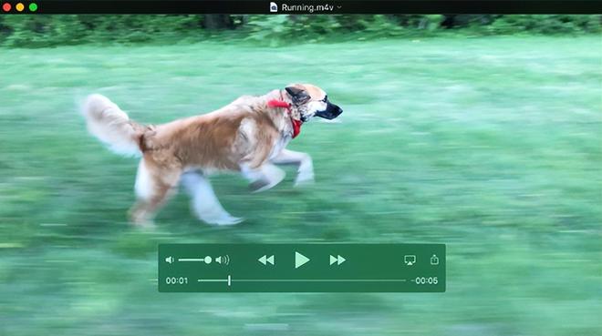 VLC Media Player打开mov_mov格式播放器_格式转换