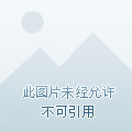 社交软件推荐_小众软件评测_短音频社交APP
