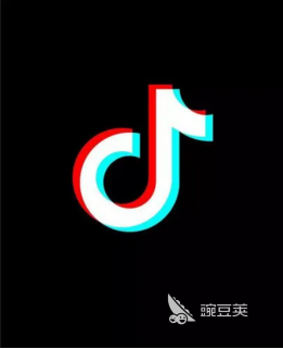 完全免费无广告_热门无广告视频应用_无广告短视频软件