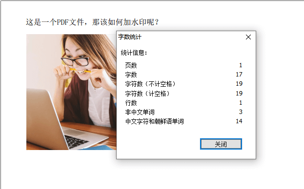pdf阅读器中文设置