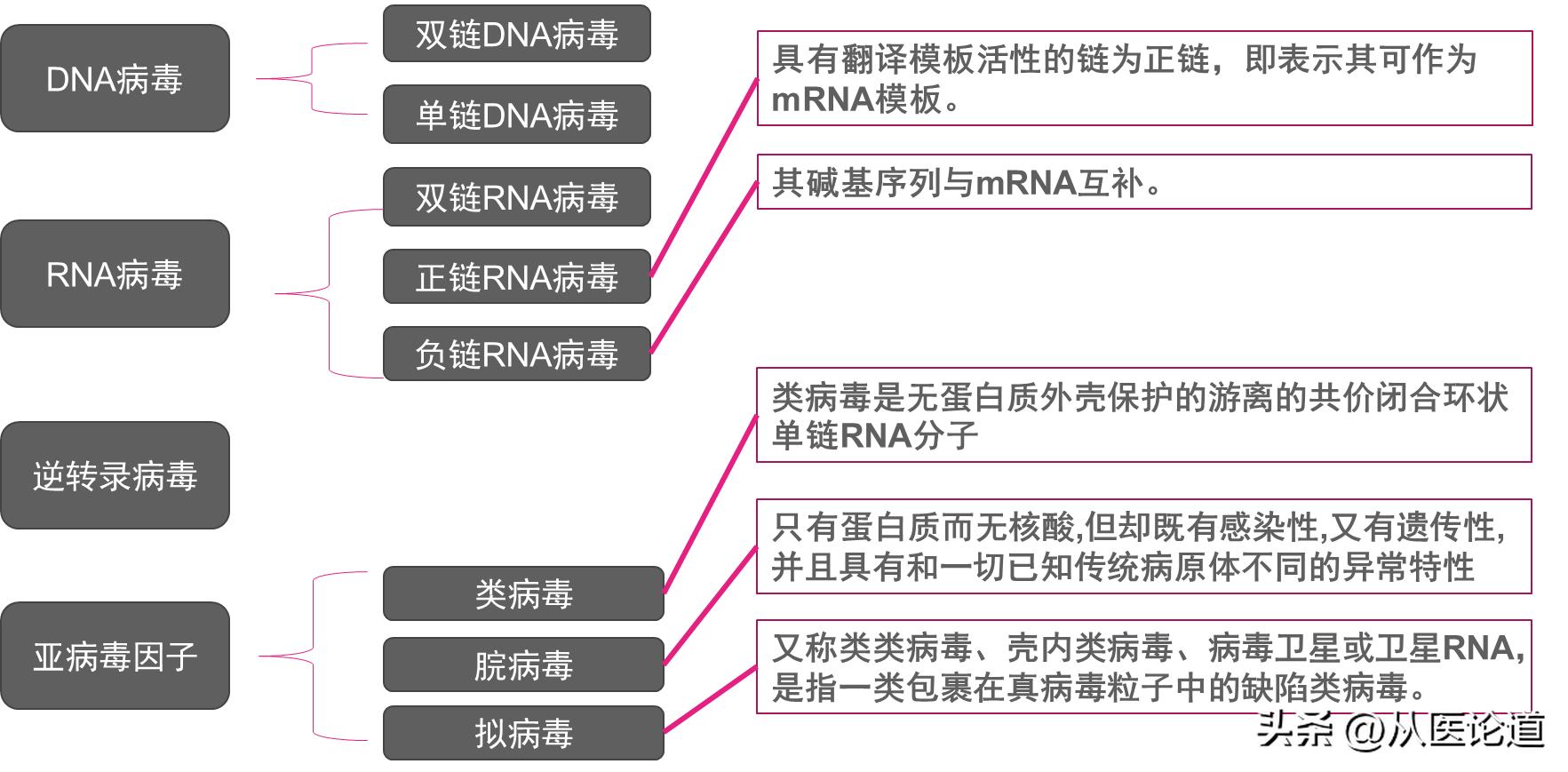 病毒概述_病毒侵染过程_防病毒推荐榜