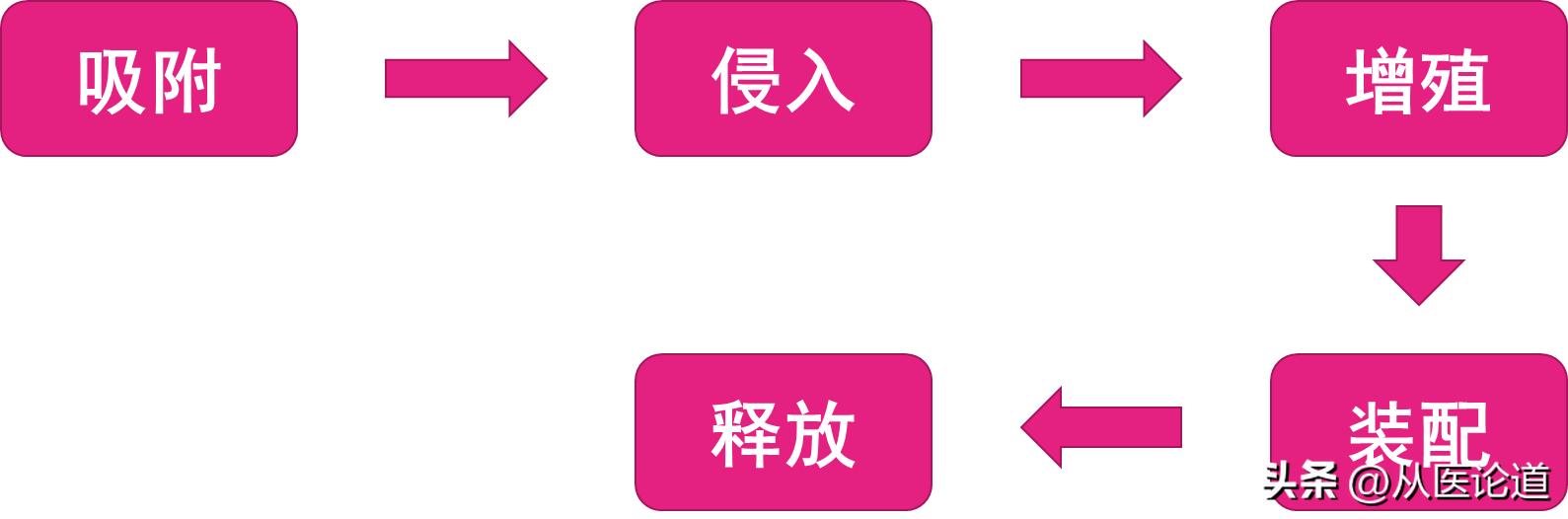 病毒侵染过程_病毒概述_防病毒推荐榜