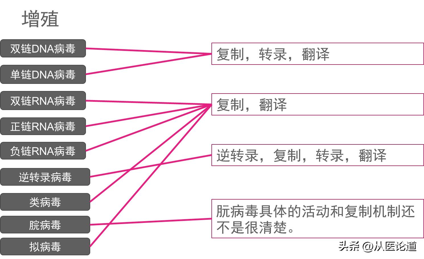 病毒侵染过程_防病毒推荐榜_病毒概述