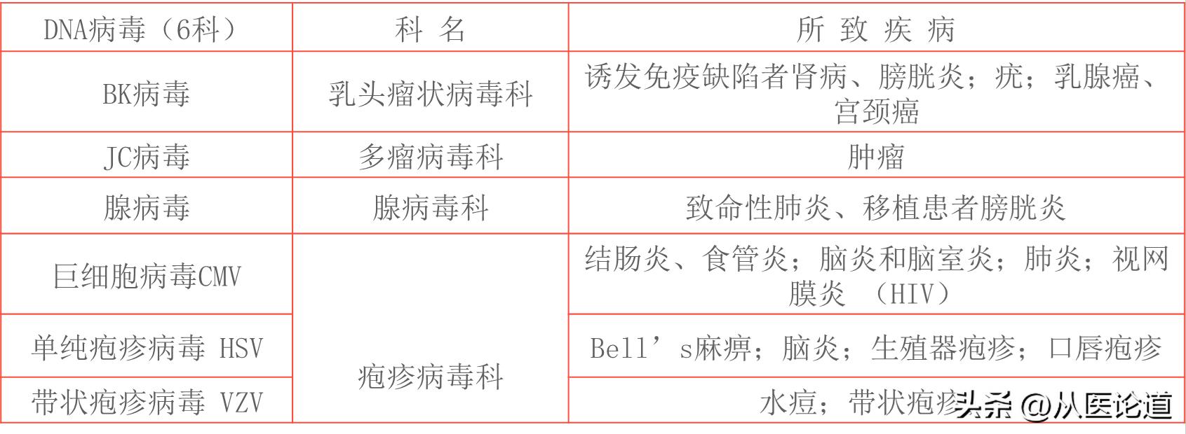 病毒概述_防病毒推荐榜_病毒侵染过程