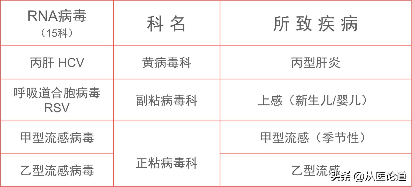 病毒概述_病毒侵染过程_防病毒推荐榜