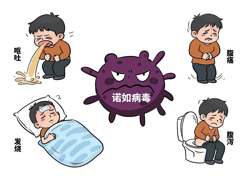 诺如病毒传播途径_诺如病毒感染症状_防病毒推荐榜