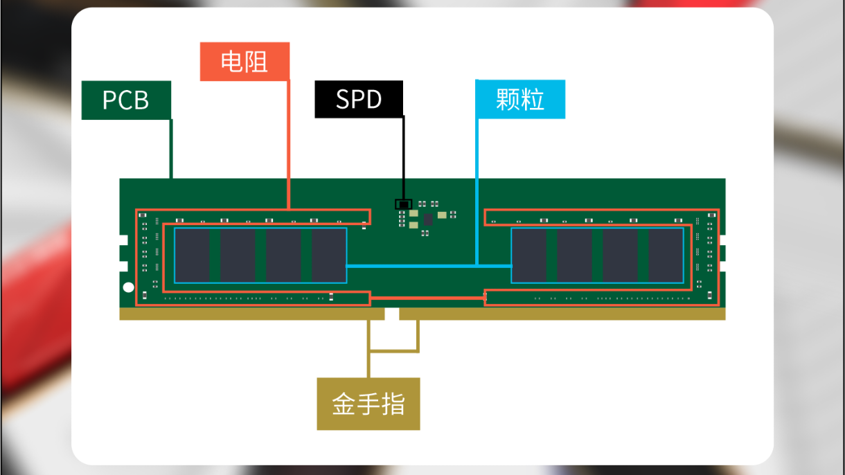 购买内存条指南_DDR5内存条推荐_内存占用对比
