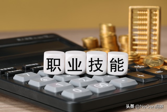 软件替代方案_替代能力解析_AI编程工具