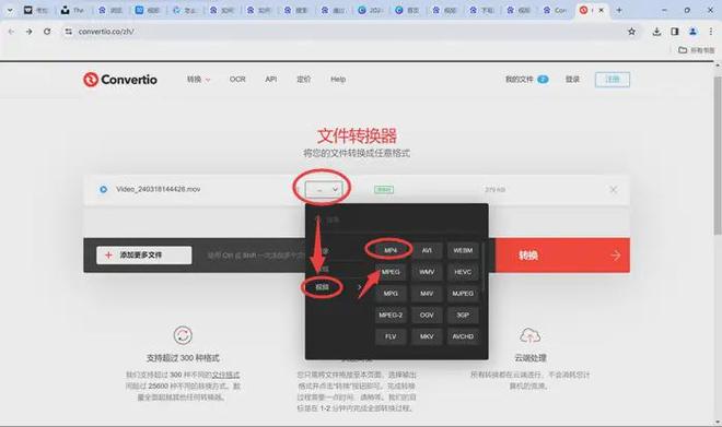 专业视频转换软件推荐_格式转换_视频格式转换教程