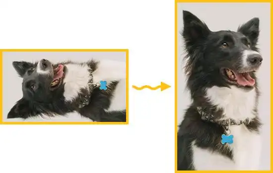 视频剪辑工具_影忆视频剪辑软件评测_视频剪辑软件推荐