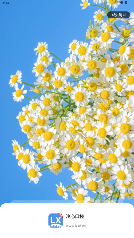 永久免费软件库平台_冷门软件下载_冷心口袋无广告资源下载