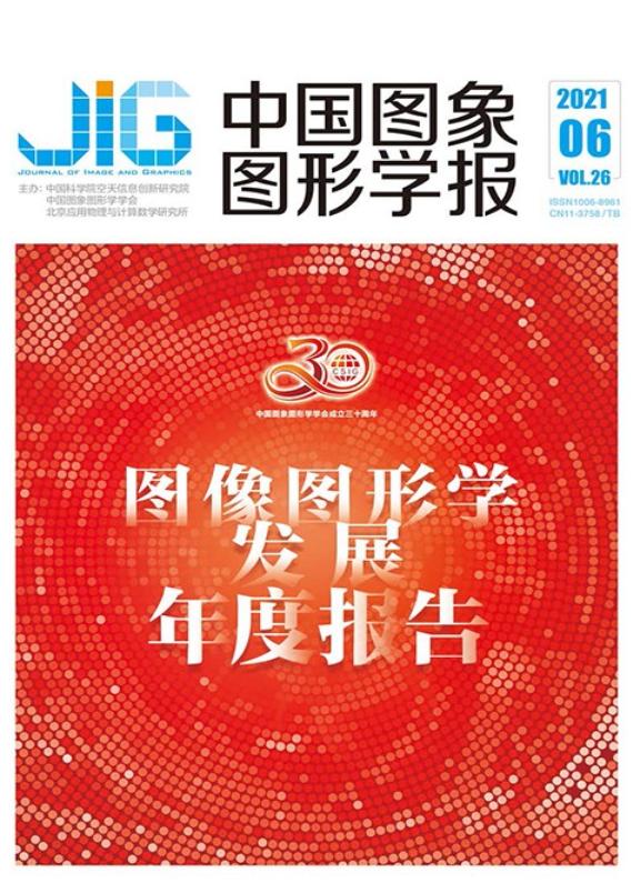 2023图像图形学发展年度报告_图形图像_中国图象图形学学会年度报告