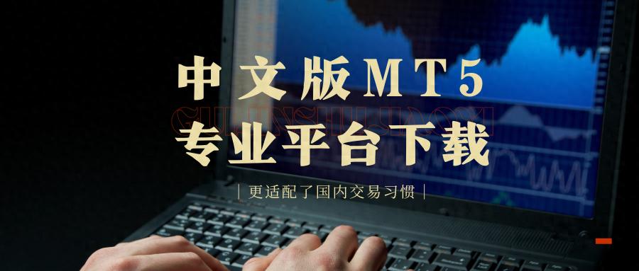 合规资质_中文版MT5平台选择_中文界面软件