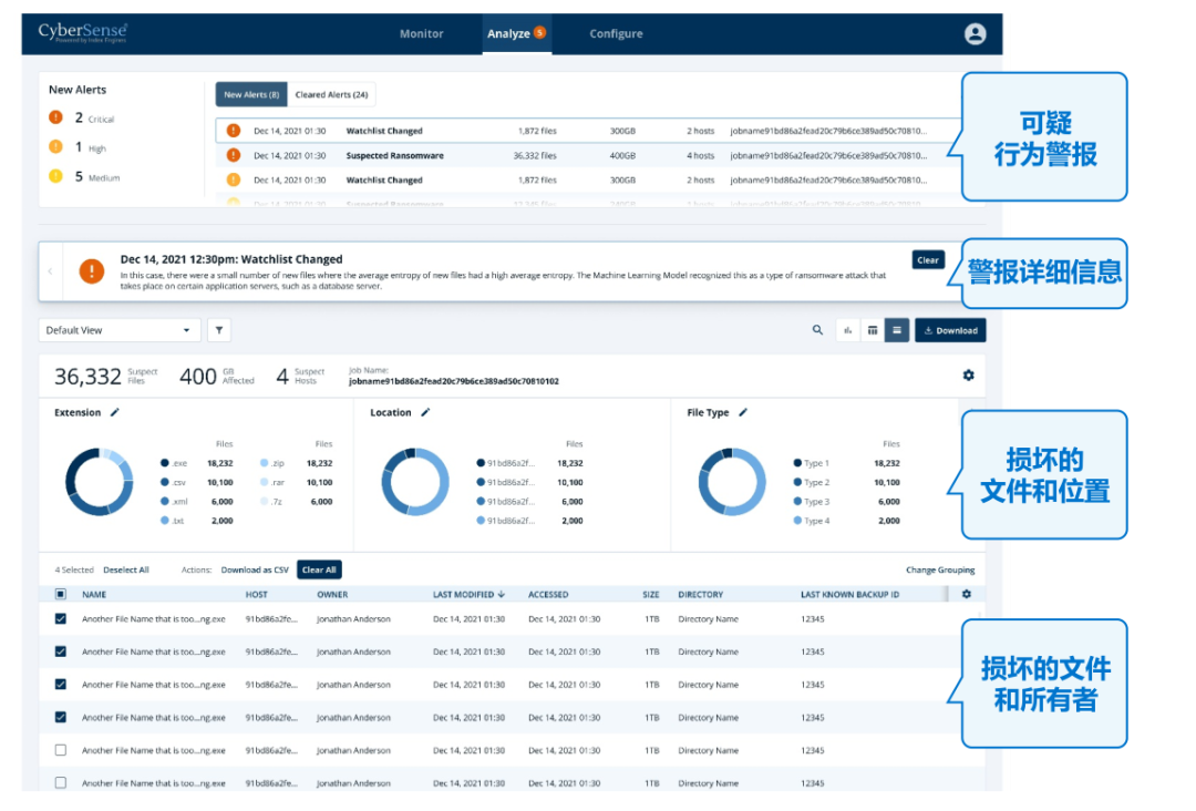 远程办公网络安全_软件替代方案_智能攻击防护策略