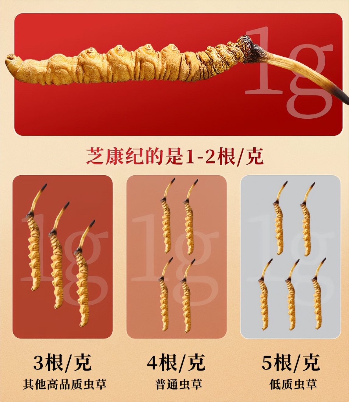 双十一数码产品推荐_必备工具推荐_双十一家居生活好物推荐