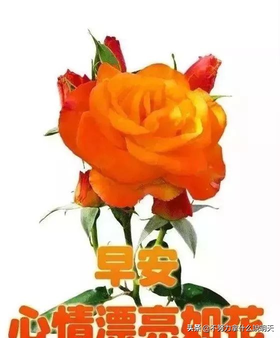 人生感悟_图像影音_改变心态