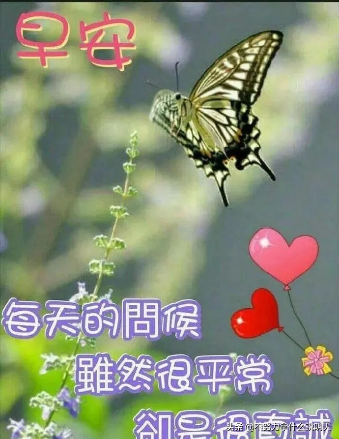 人生感悟_改变心态_图像影音