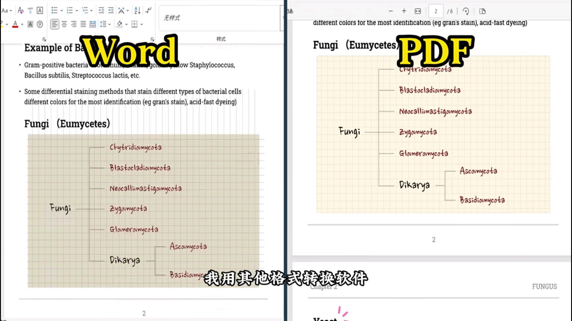 实用免费无广告软件_冷门软件下载_Kun Tools工具箱合集软件